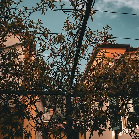 Il Poderino Di Marilu Holiday home *