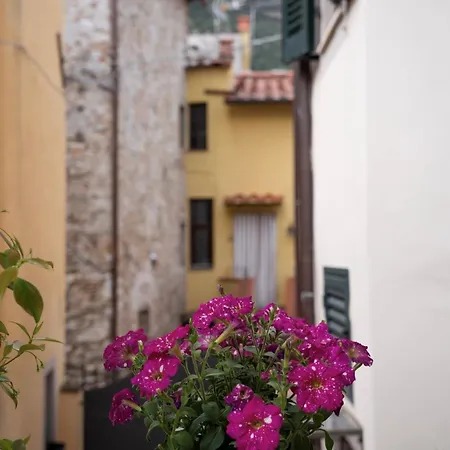 Il Poderino Di Marilu Holiday home *